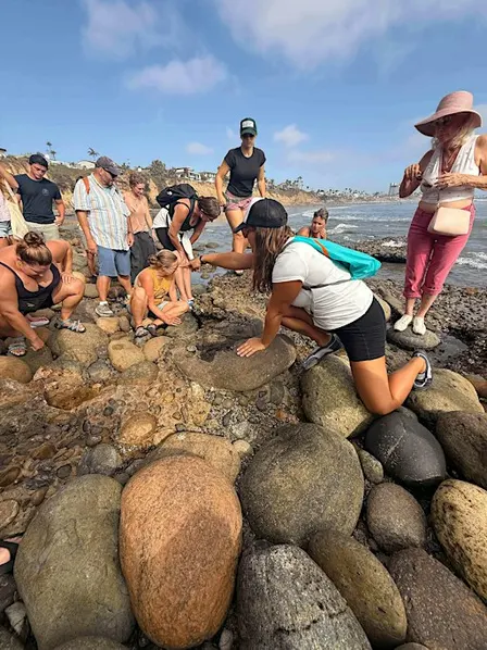 Spooky Tidepools