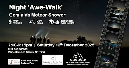 Geminids Meteor Shower: A Magical Night Awe-Walk