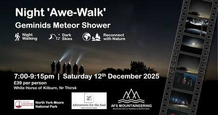 Geminids Meteor Shower: A Magical Night Awe-Walk