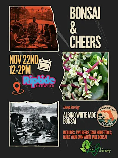 Bonsai & Cheers at Riptide Brewing Co | Albino White Jade BonsaiTree