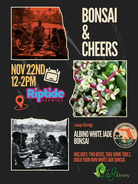 Bonsai & Cheers at Riptide Brewing Co | Albino White Jade BonsaiTree