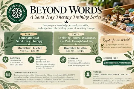 Beyond Words: A Sand Tray Therapy Training Series