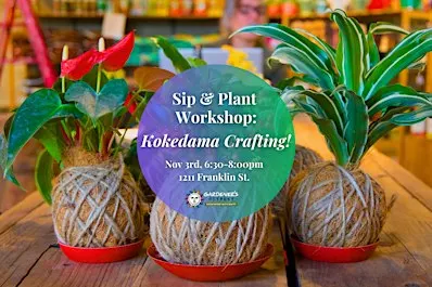 Sip & Plant Workshop: Kokedama Crafting!