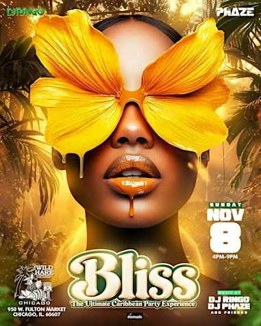 BLISS The Ultimate Afro Caribbean Rooftop Party 11-8-26