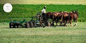 El Amish, Viñedos Mount Hope y el Pueblo de Santa Claus