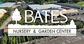 Plein Air Painting: Bates Nursery and Garden Center