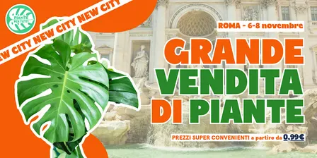 Grande Vendita Di Piante - Roma