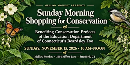 Sunday Morning Shopping Events to Benefit Local Conservation Projects