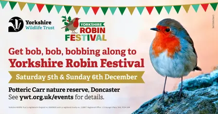 Fused Glass Robin Workshop
