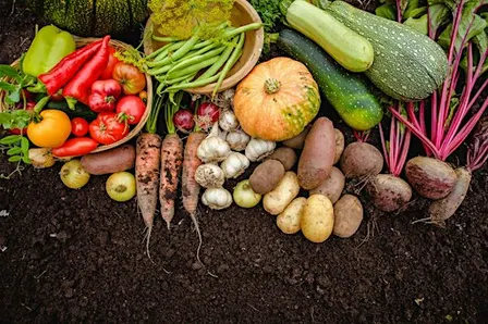 Preserving the Harvest Naturally