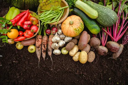 Preserving the Harvest Naturally