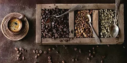 Introduction to Specialty Coffee