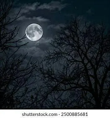 The Ultimate Dark & Mystery Horror Night