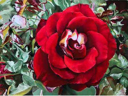 Red Roses in Pastels