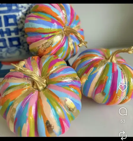 Numi Wellness X Books2Border Pumpkin Painting Fundraiser