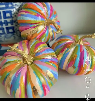 Numi Wellness X Books2Border Pumpkin Painting Fundraiser