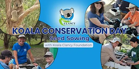 Koala Conservation Day: Seed Sowing