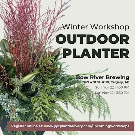 Outdoor Winter Planter | Bow River Brewing | YYC Plants & Delivery