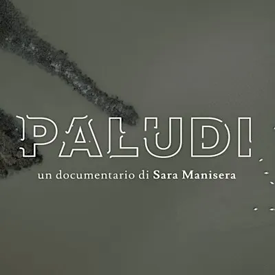 Paludi – Le zone umide che custodiscono il futuro