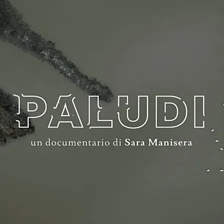 Paludi – La natura più bistrattata e preziosa d’Italia