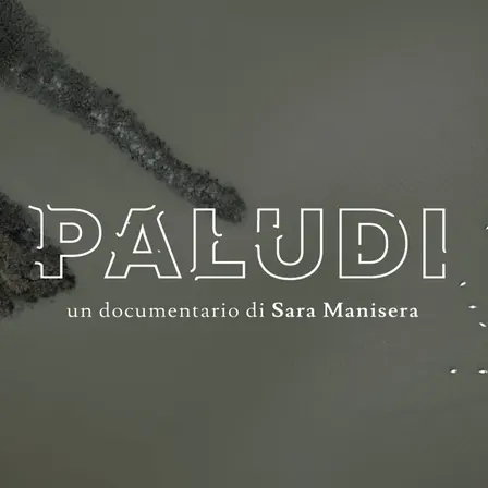 Paludi – La natura più bistrattata e preziosa d’Italia
