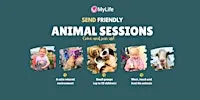 SEND Friendly Animal Sessions