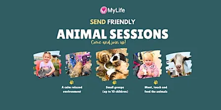 SEND Friendly Animal Sessions