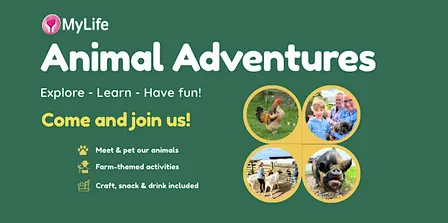 Animal Adventures On The Farm
