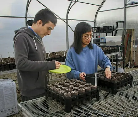 Potting Up @ CTN