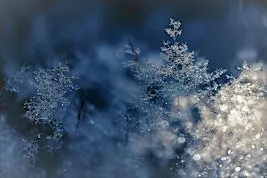 Winter Wonderland