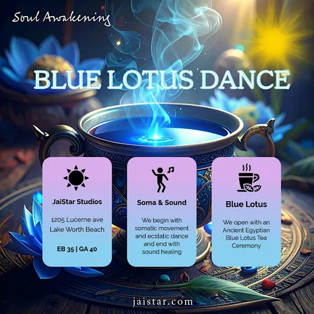 The Blue Lotus Experience