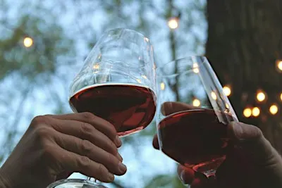 Every Shade of Red: Red Wines for Winter