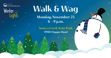 Walk & Wag 11/23