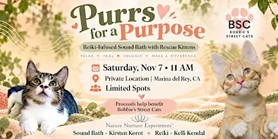 Purrs for a Purpose: Reiki-Infused Sound Bath with Rescue Kittens