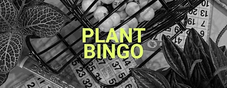 Plant BINGO