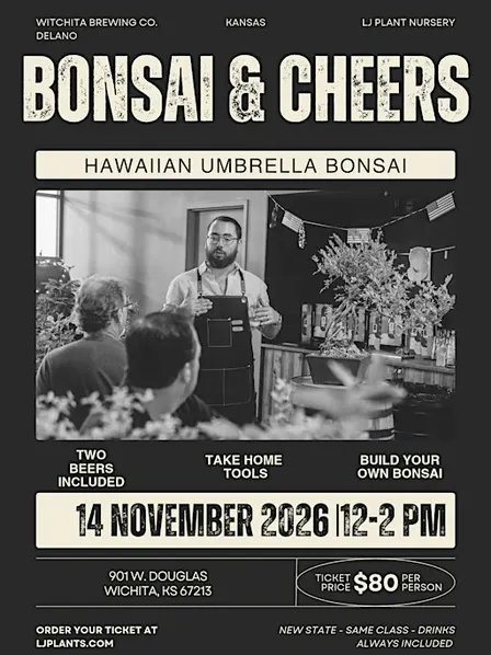 Bonsai & Cheers at the Wichita Brewing Co. | Hawaiian Umbrella Bonsai