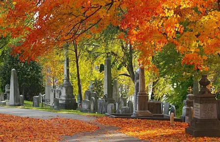 Autumn in Laurel Hill Cemetery