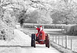 Visit Santa at Balnuith Alpacas