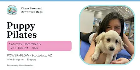 Puppy Pilates at POWER+FLOW — December 5