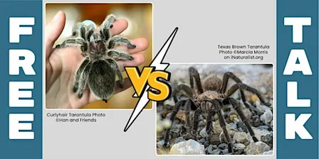 FREE Talk: Creature Connections: Our Pets & Their Wild Native Counterparts