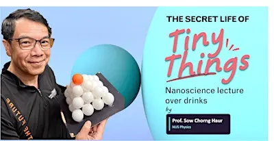 Discover our Strange Nanoscale World over Drinks! An evening with Prof. Sow