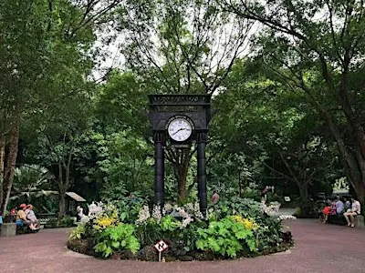 Garden Walk at the Singapore Botanic Gardens