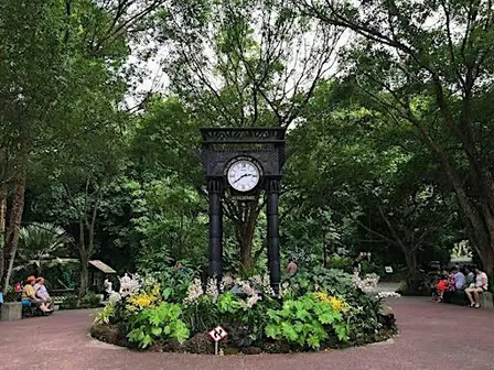 Garden Walk at the Singapore Botanic Gardens