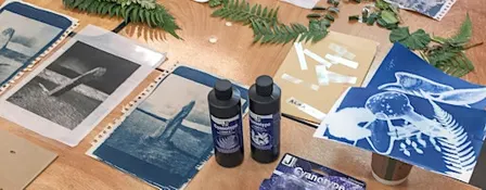Waking Dream | Cyanotype workshop for Teens