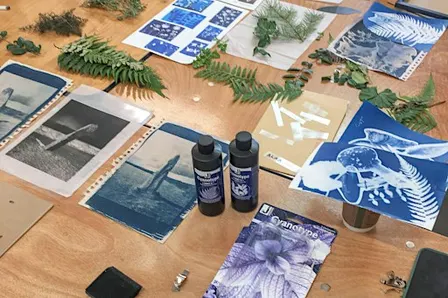 Waking Dream | Cyanotype workshop for Teens