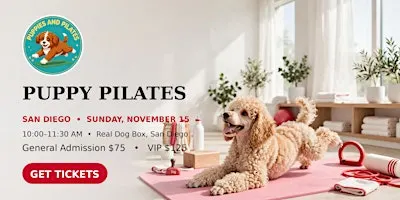 Puppy Pilates — San Diego