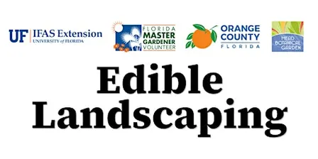 Edible Landscaping