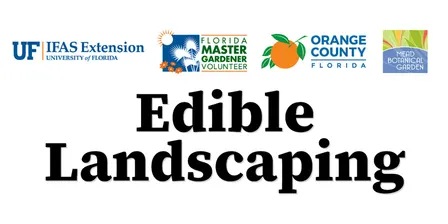 Edible Landscaping