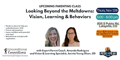 Beyond the Meltdowns: the Hidden Connection Between Vision and Behavior