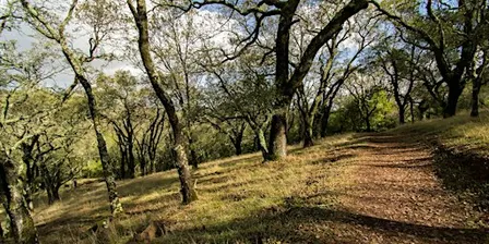 Hike Your Pie Off at Rancho Cañada del Oro!